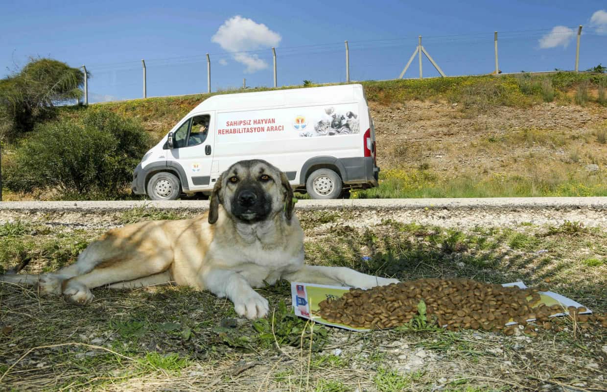Adana Büyükşehir Belediyesi'nin Kurumsal Yapısı ve Sunulan Hizmetler