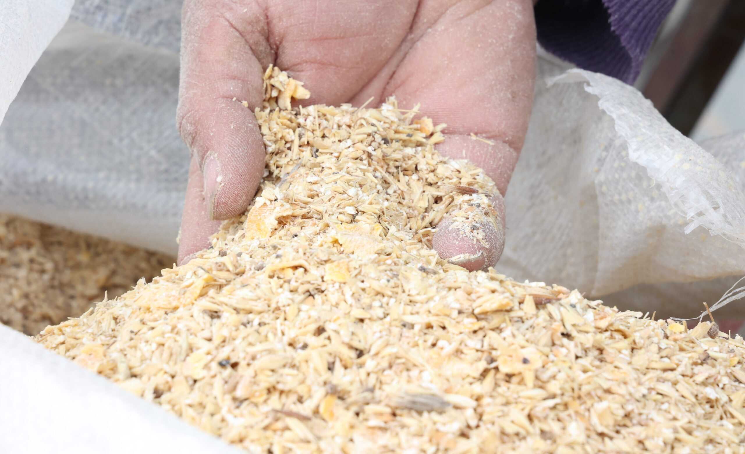 Antalya Büyükşehir’in Yem Ezme Makinesi Desteği Yazır ve Çevresinde Üreticilere Kolaylık Sağlıyor