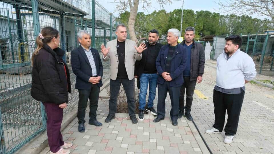Adana Veterinerler Odası Başkanı: Barınaktaki yavru köpek görüntüleri yanlış yorumlandı