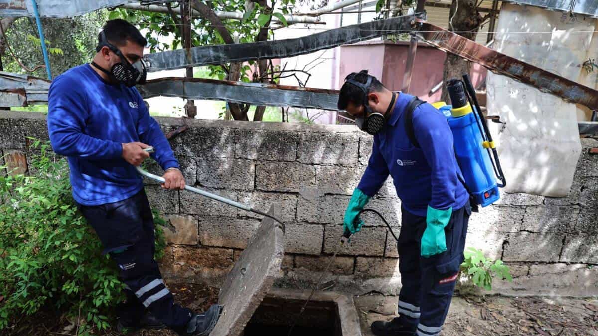 Antalya Büyükşehir Belediyesi sivrisinek ve haşere üreme alanlarına karşı yoğun ilaçlama yapıyor